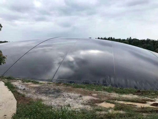 戳我试试